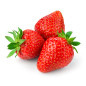 FRAISE RAVIER 10X500G